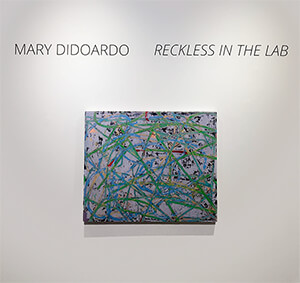 Exhibition, 'Reckless In The Lab: Paintings by Mary Didoardo', 2019 - installation views