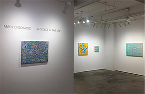 Exhibition, 'Reckless in The Lab: Paintings by Mary Didoardo', 2019 - installation views